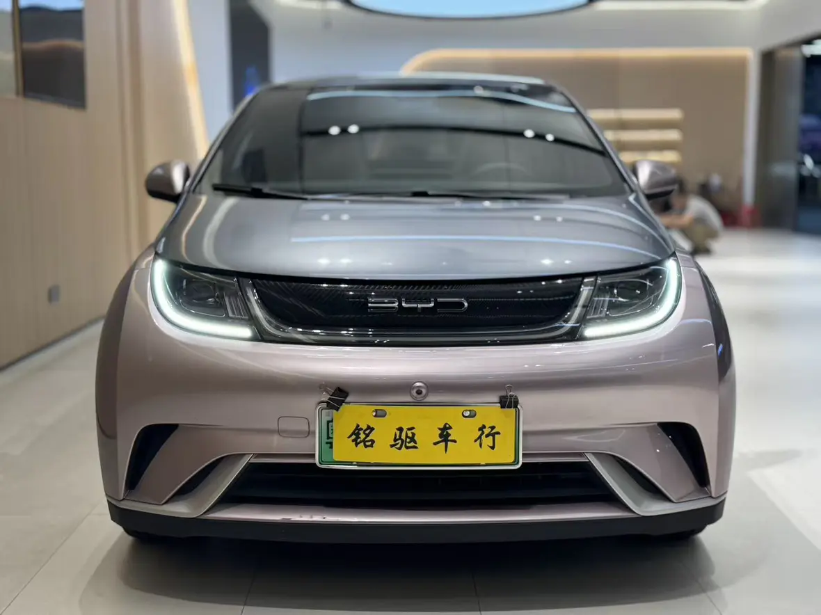 BYD Dolphin  из Китая