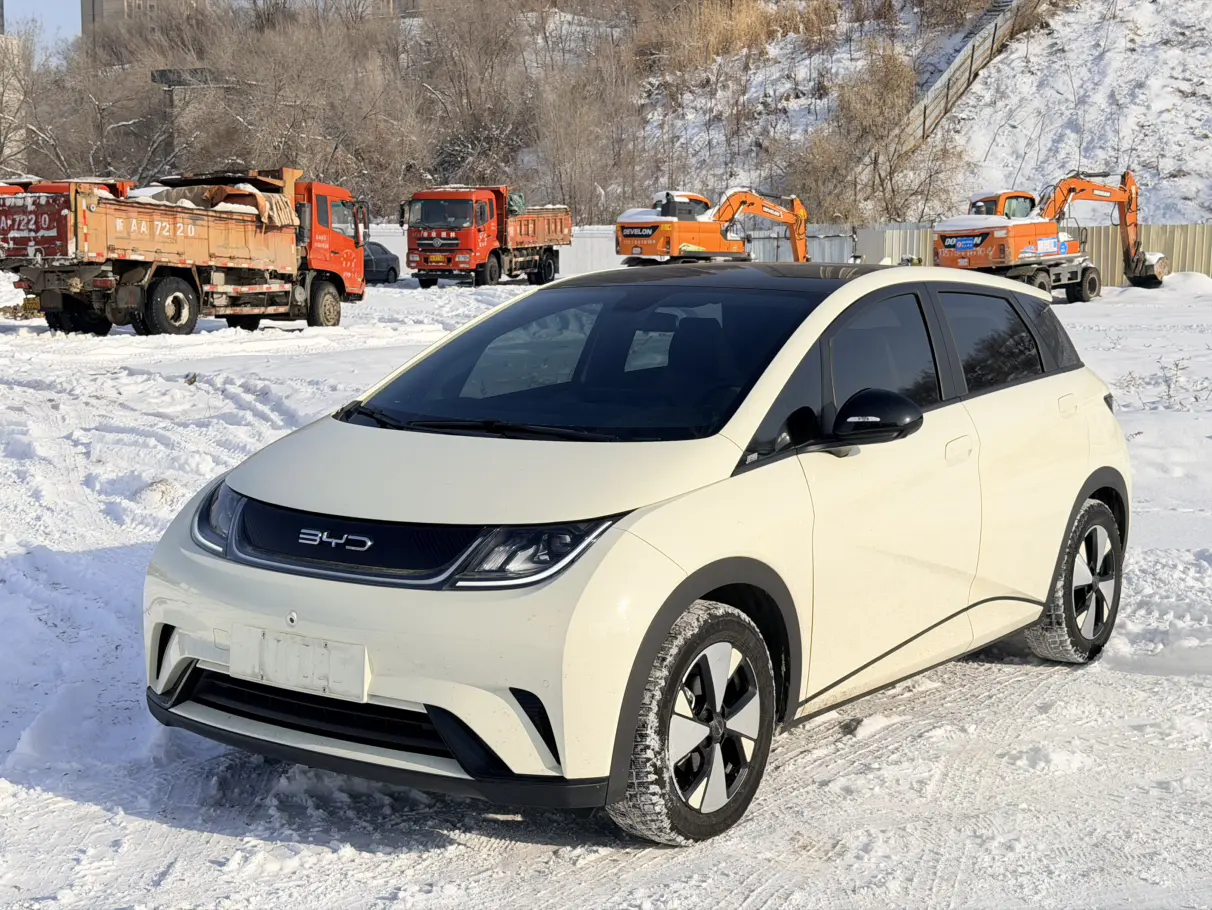 BYD Dolphin  из Китая