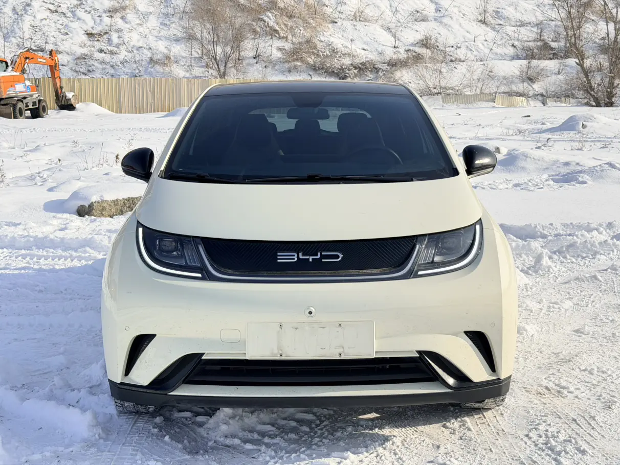 BYD Dolphin  из Китая