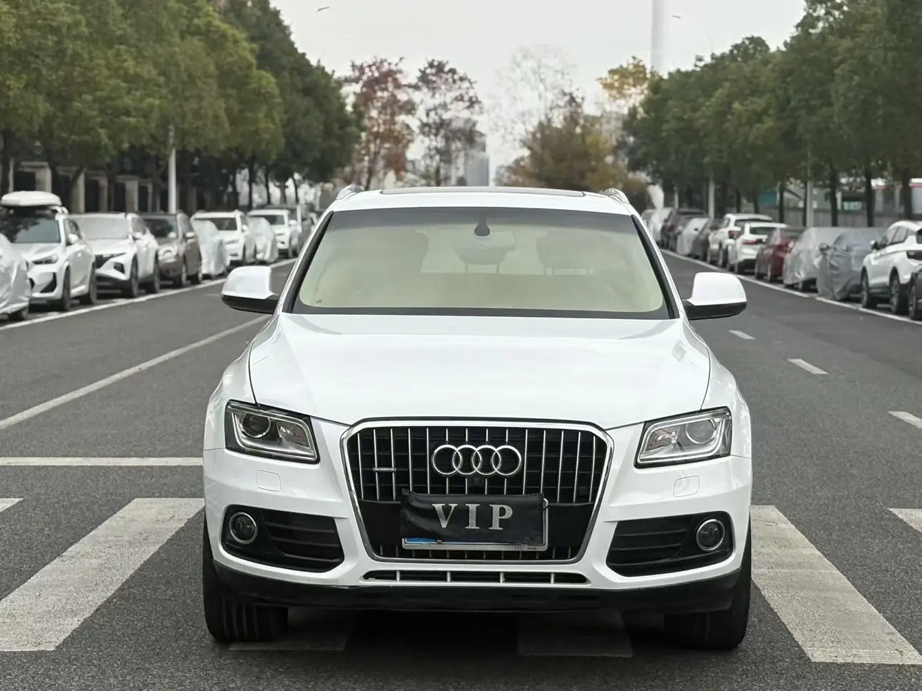 Audi Q5  из Китая