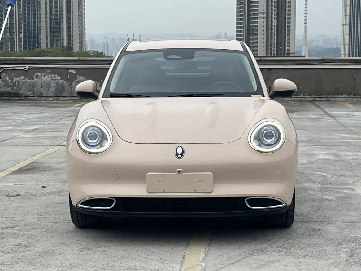 ORA Euler good cat  из Китая