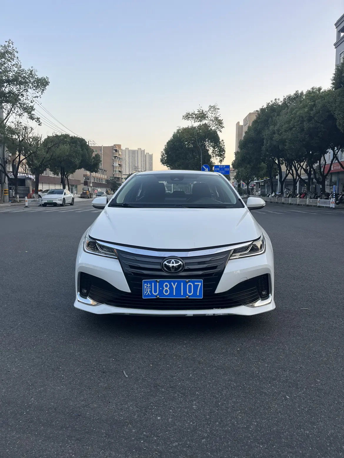 Toyota Asiatic lion  из Китая