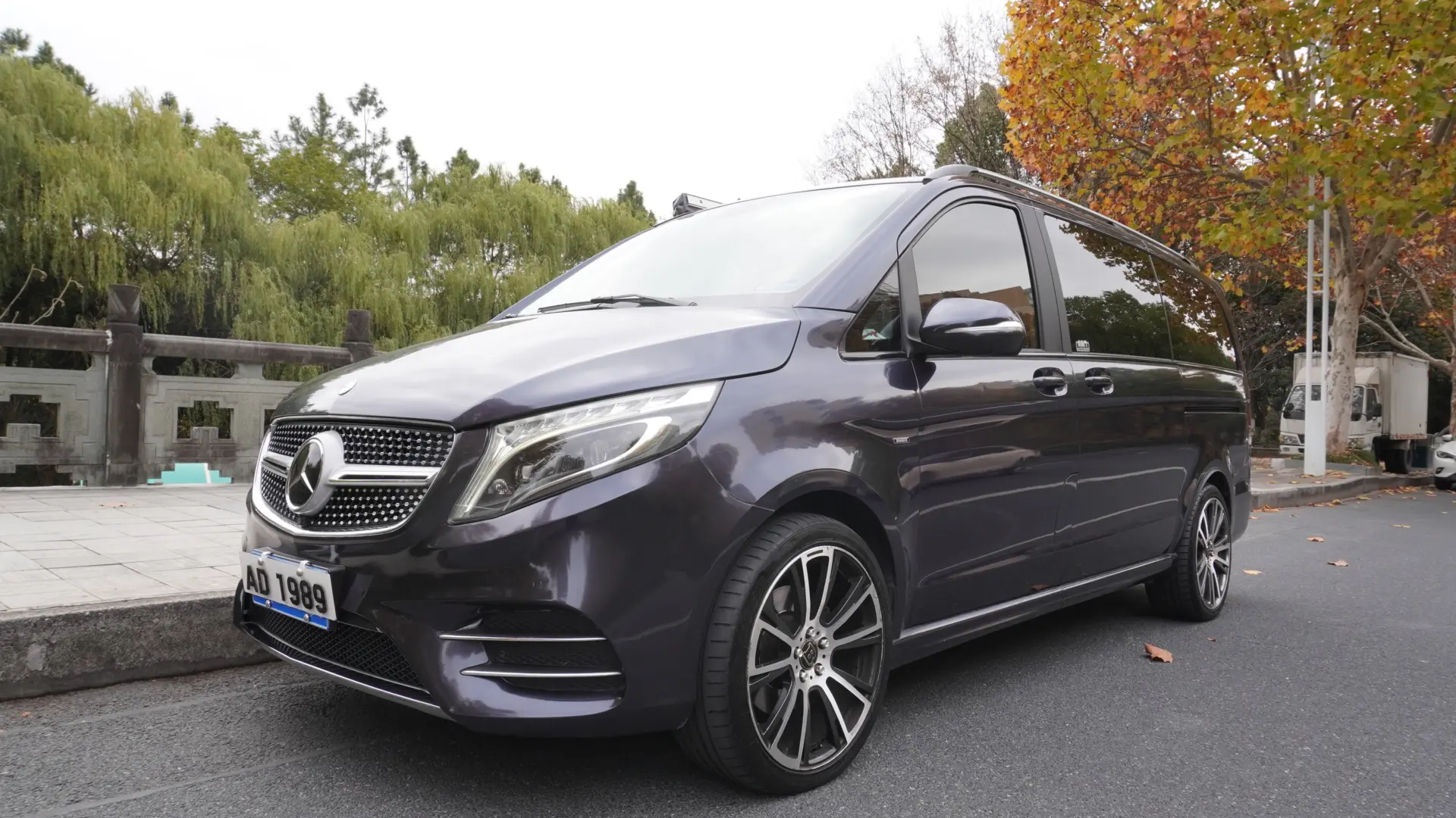 Mercedes-Benz Mercedes Benz V Class  из Китая