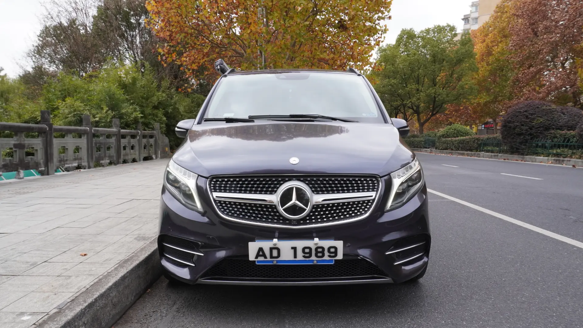 Mercedes-Benz Mercedes Benz V Class  из Китая