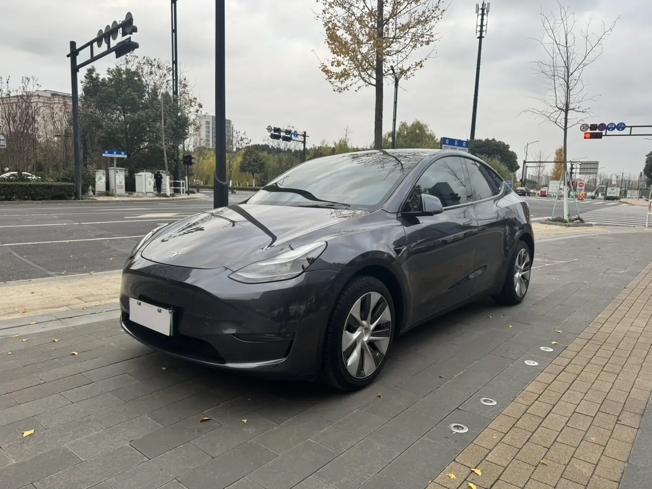 Tesla Model Y  из Китая