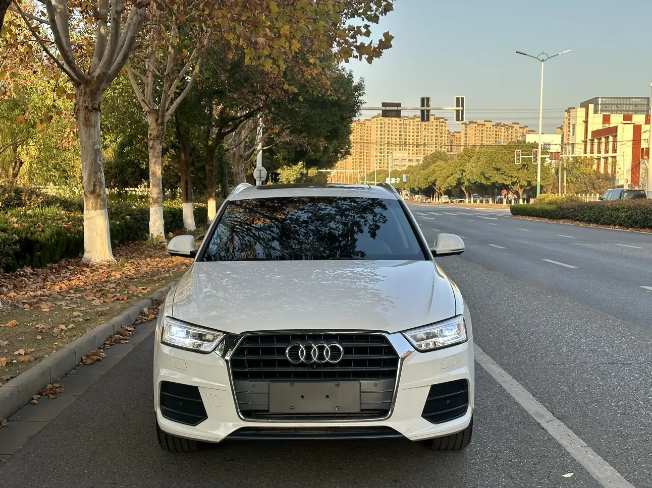 Audi Q3  из Китая