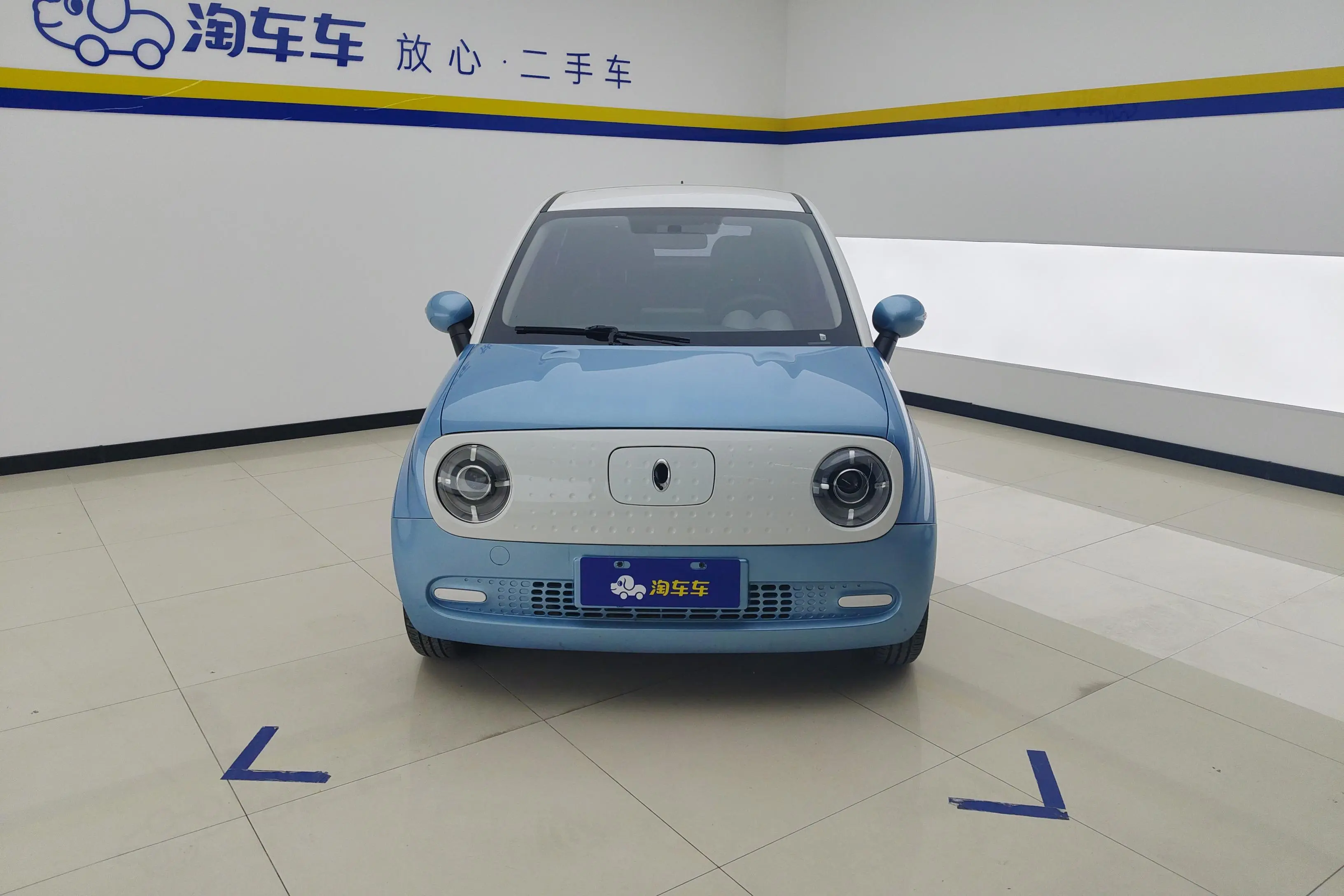 ORA Euler black cat  из Китая