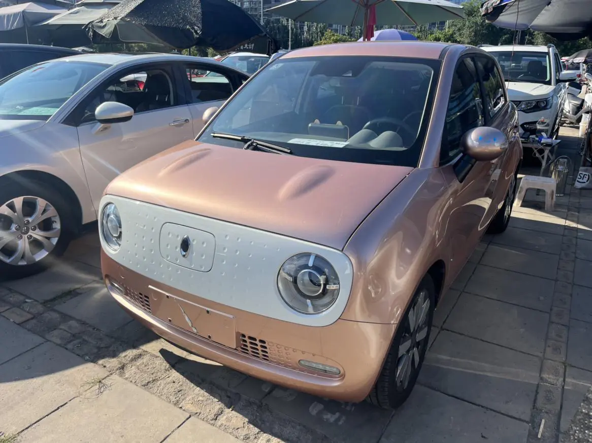 ORA Euler black cat  из Китая