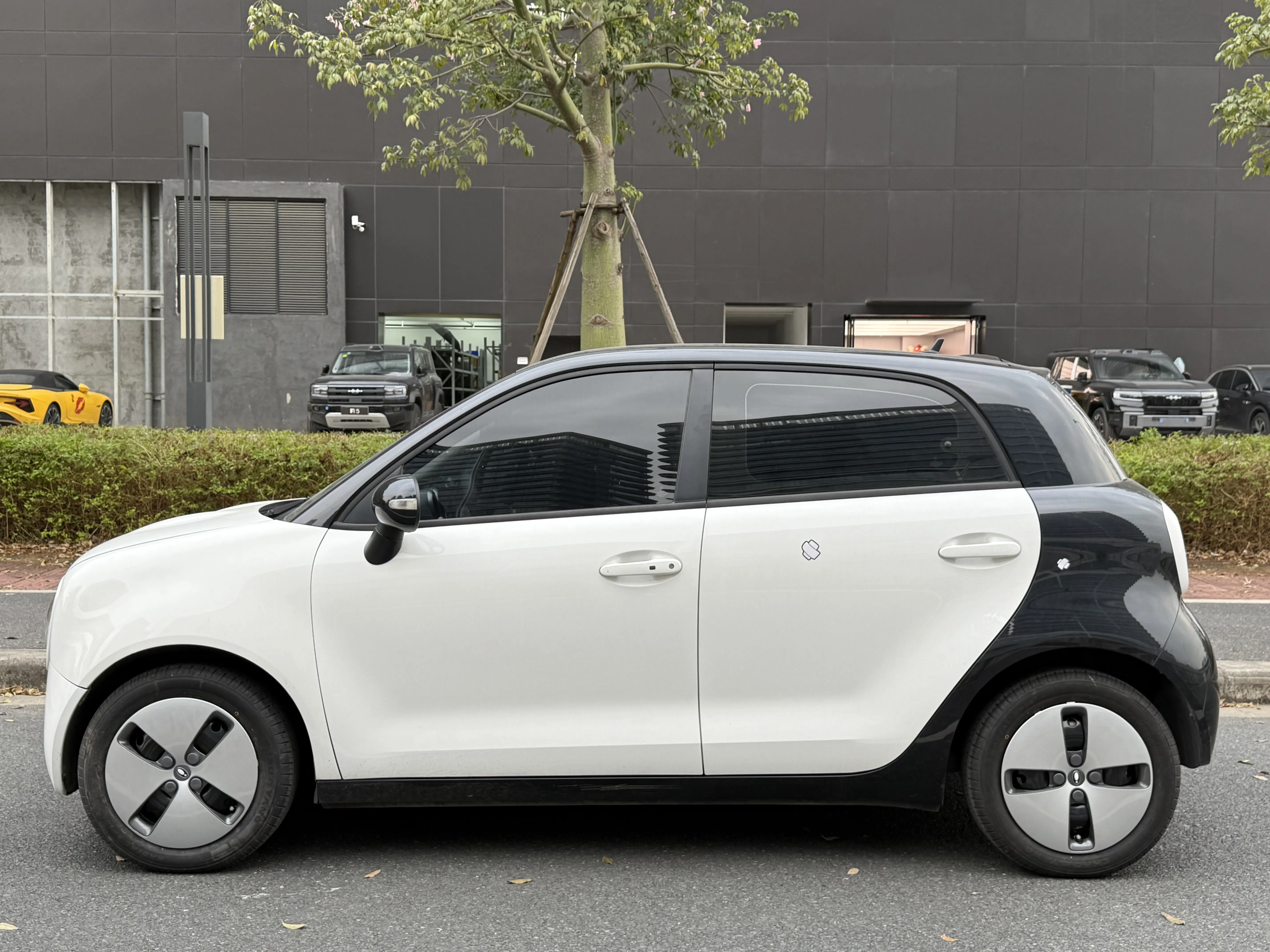 ORA Euler black cat  из Китая