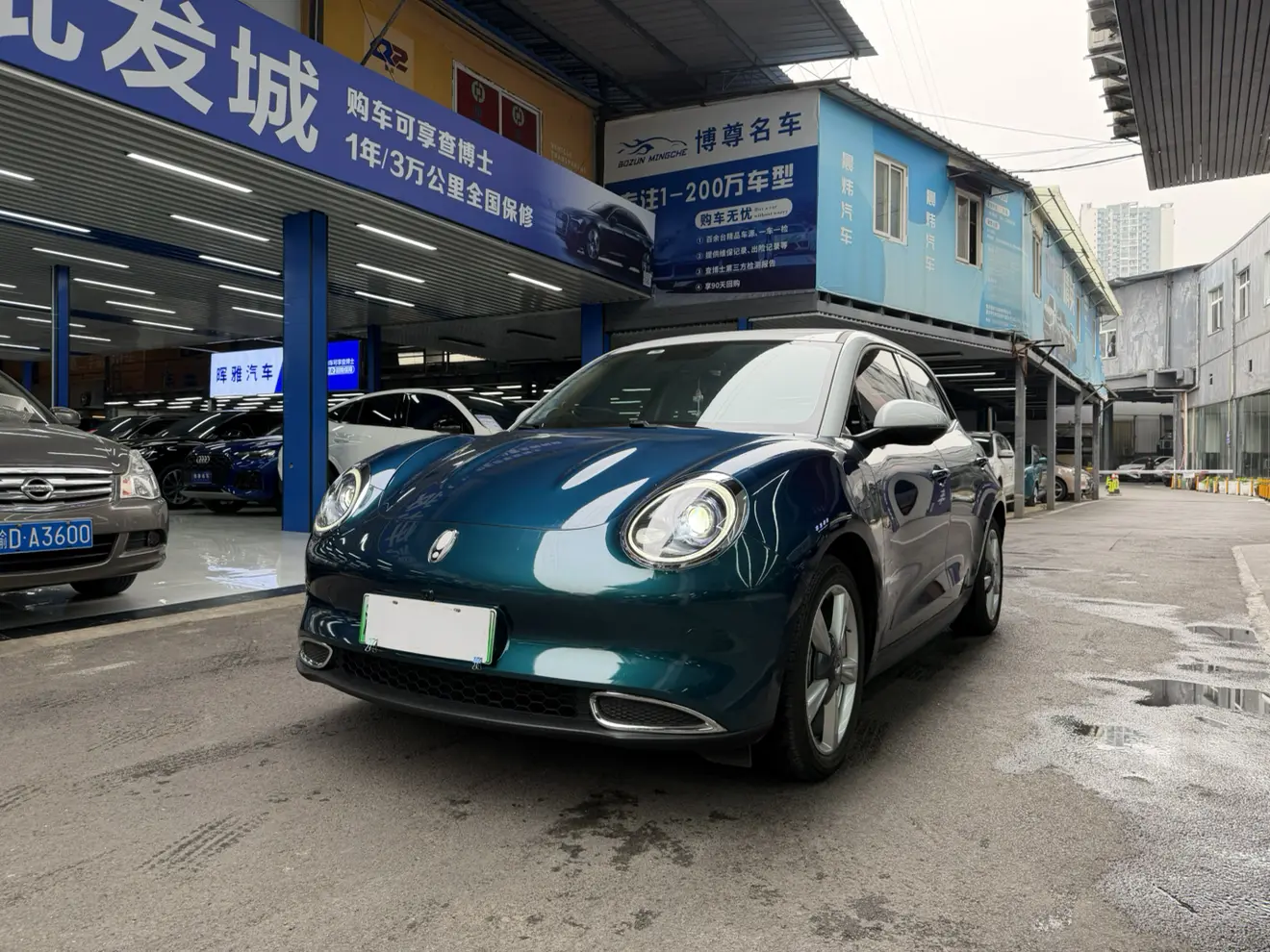 ORA Euler good cat  из Китая