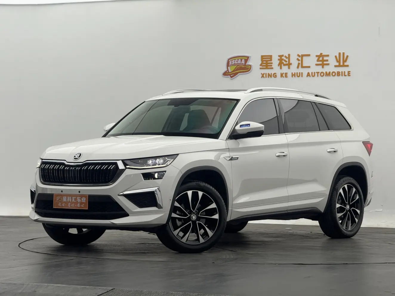 Skoda Kodiaq  из Китая