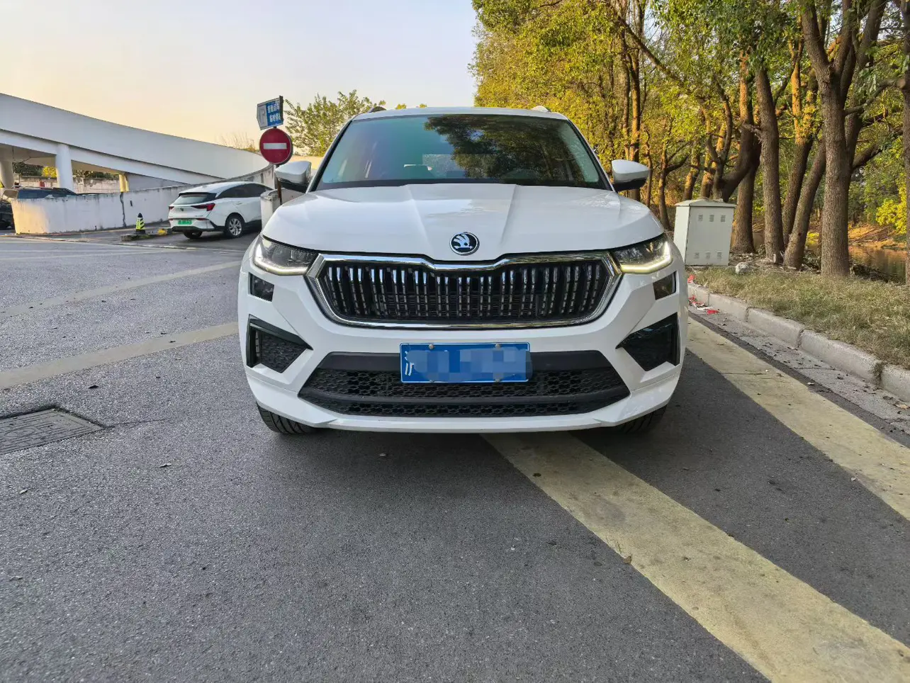 Skoda Kodiaq  из Китая