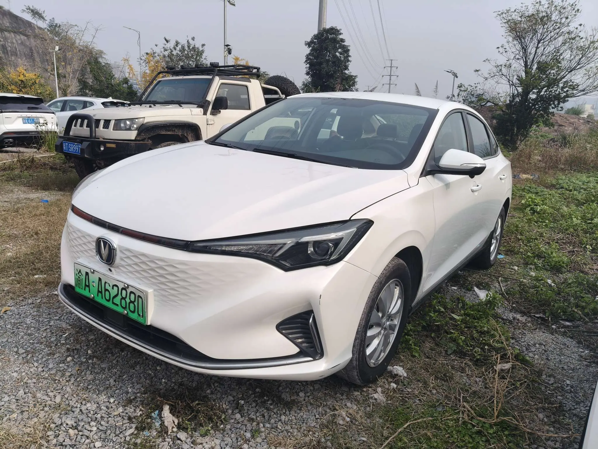 Changan Eado EV  из Китая