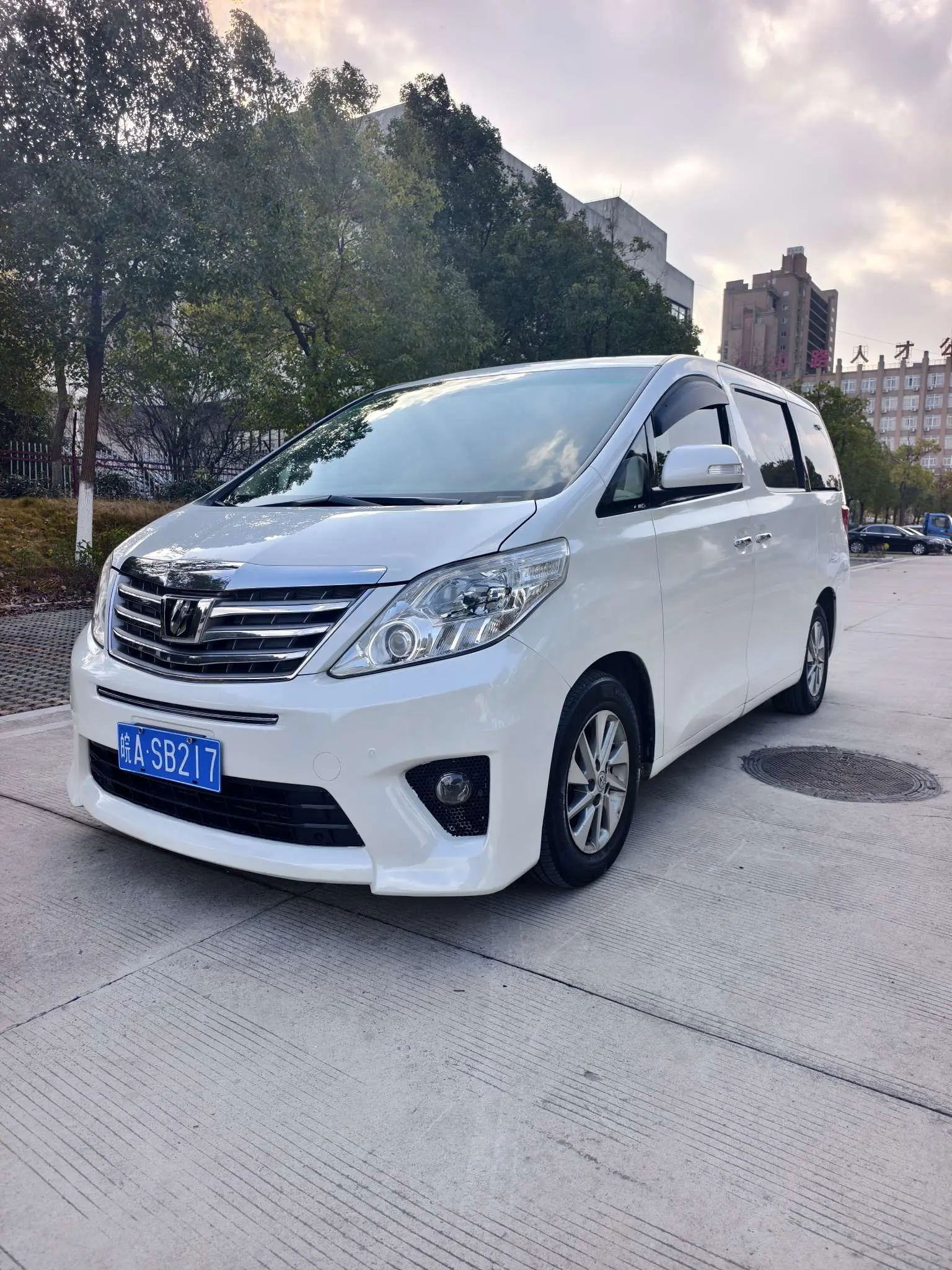 Toyota Alphard (Elfa)  из Китая