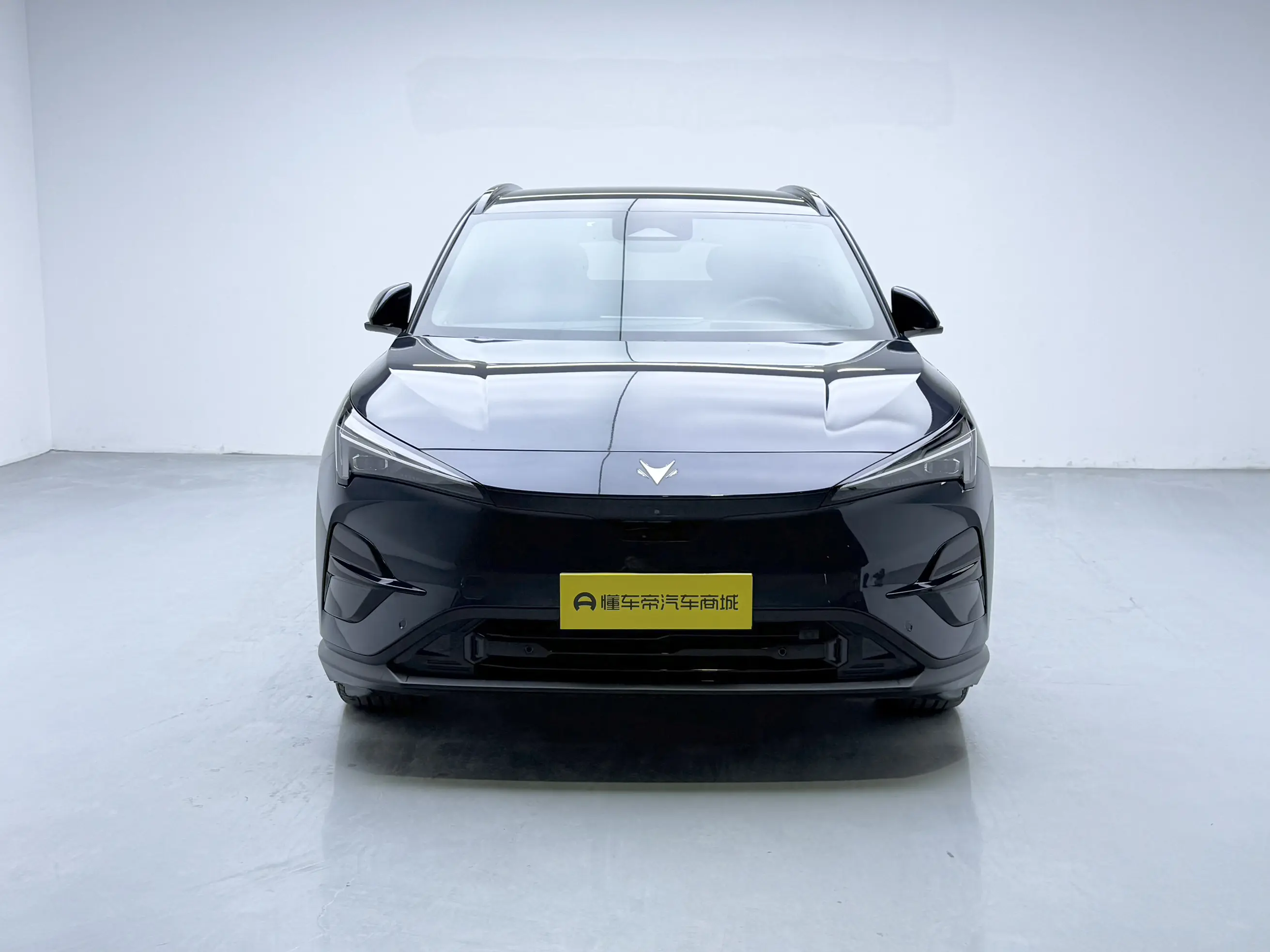 ARCFOX Extreme Fox JiFox Alpha T5  из Китая