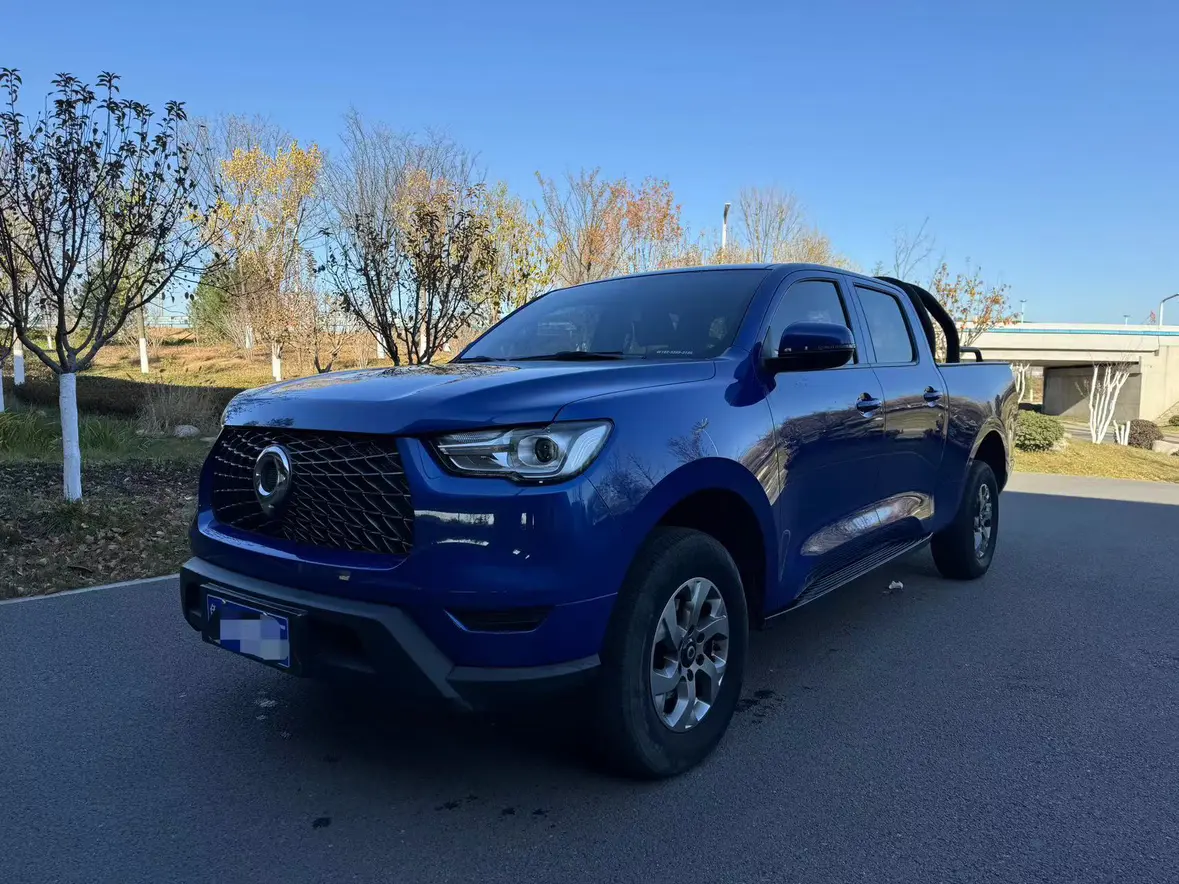 Great Wall Gun  из Китая