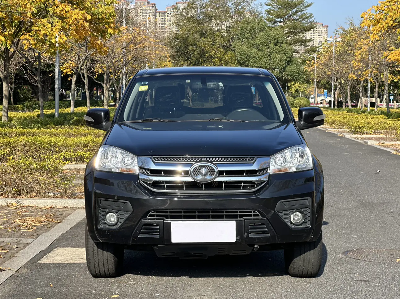 Great Wall Wing Jun 5  из Китая