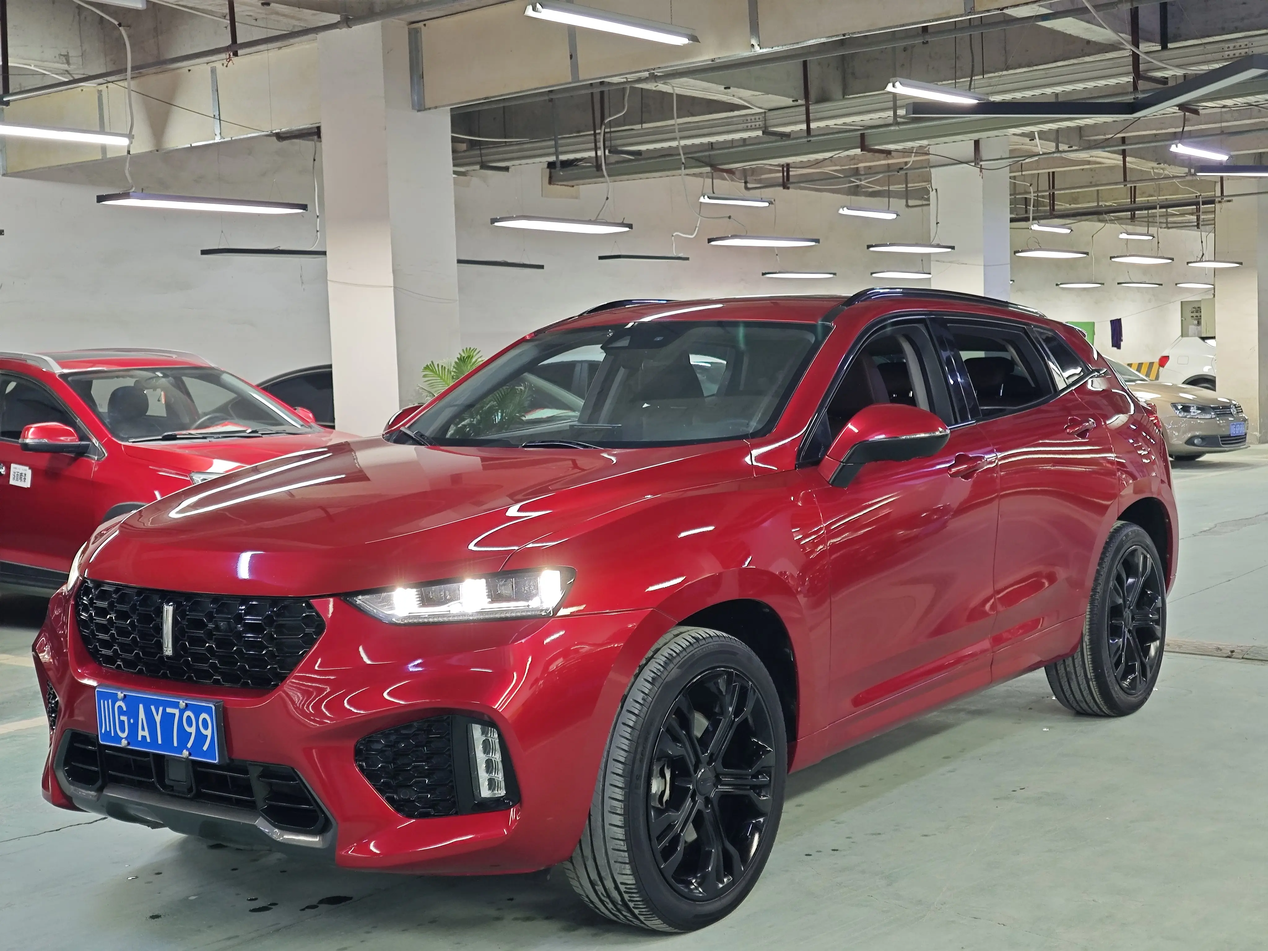 Wey Wei brand VV7  из Китая