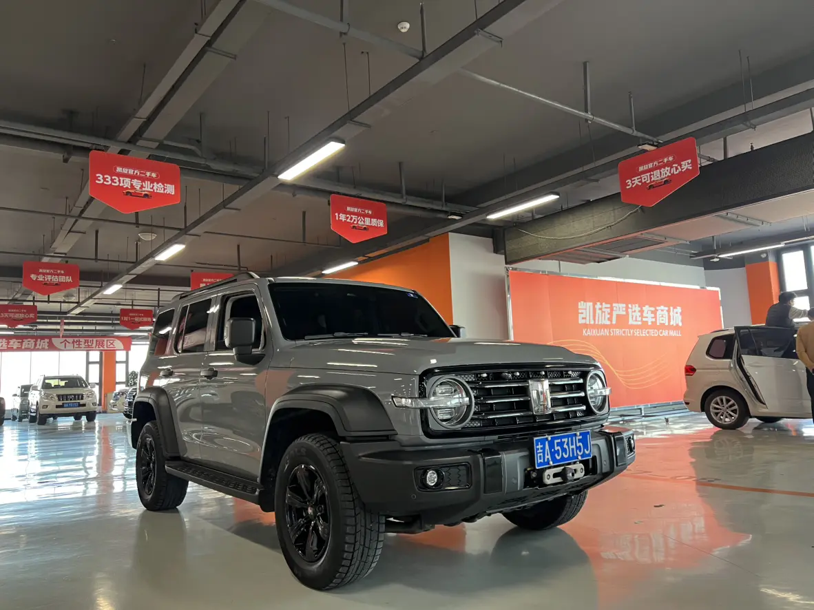 Tank 300  из Китая