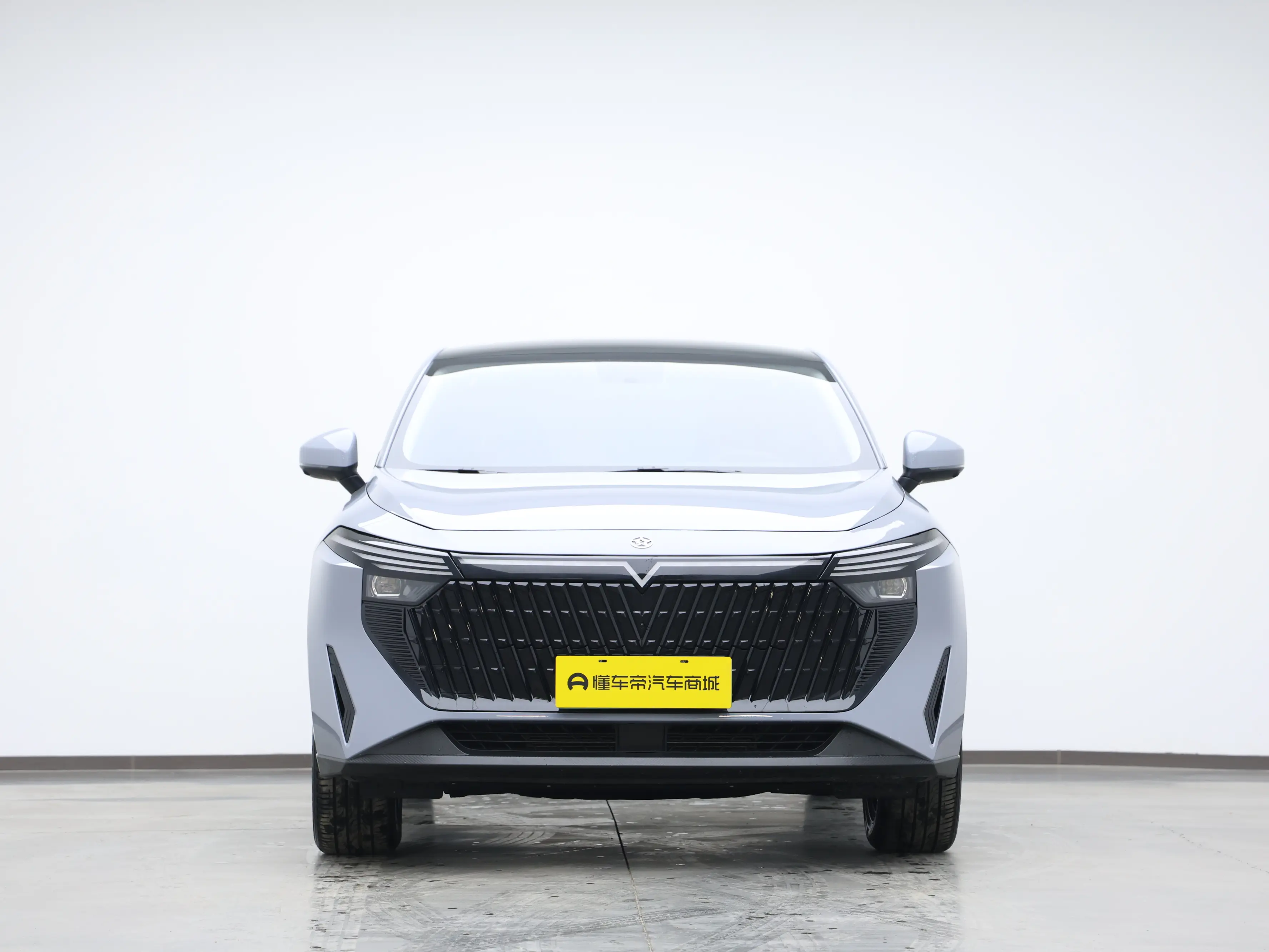 Kai Chen Qichen Big V DD-i  из Китая