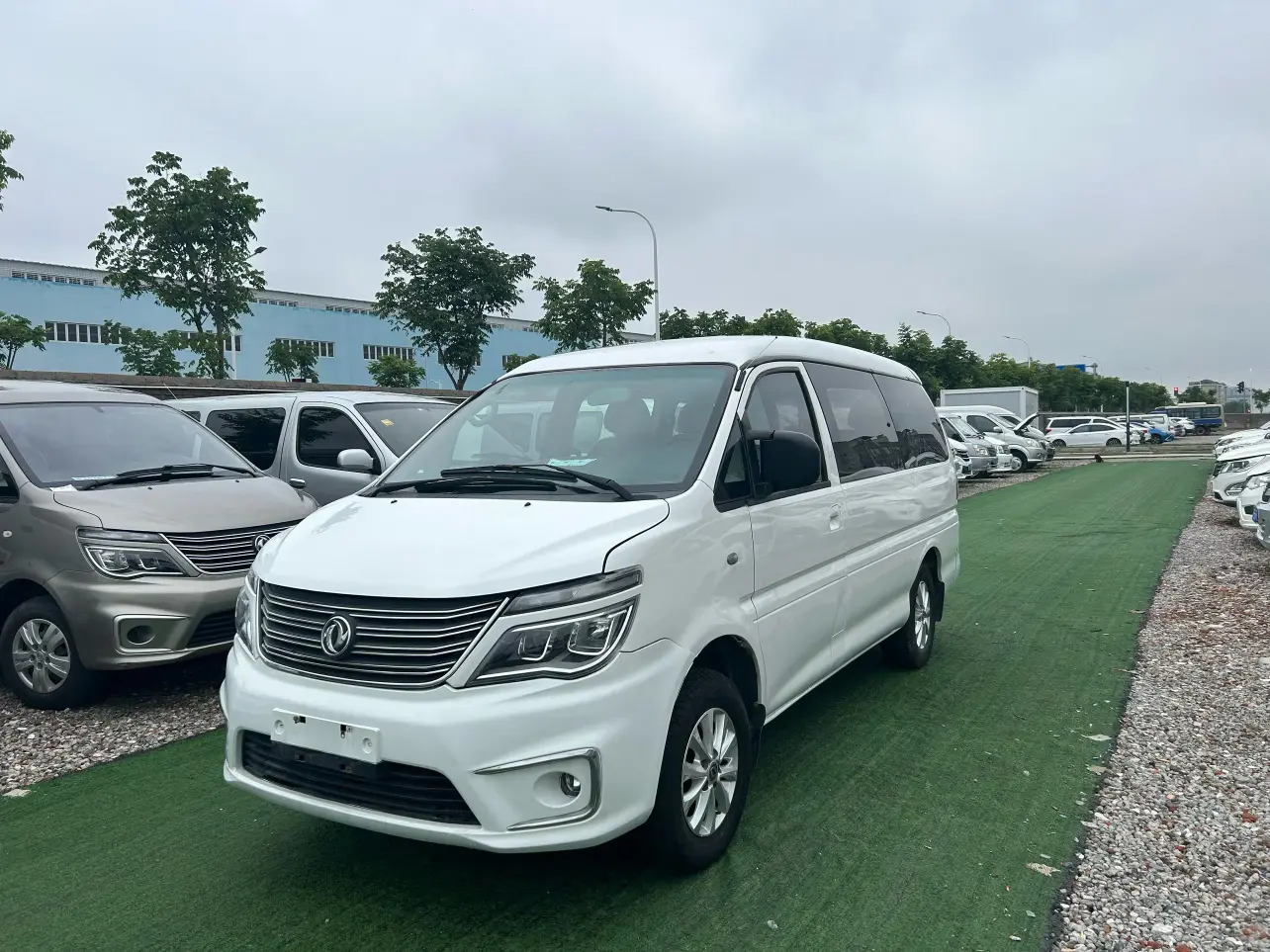 Forthing Lingzhi  из Китая