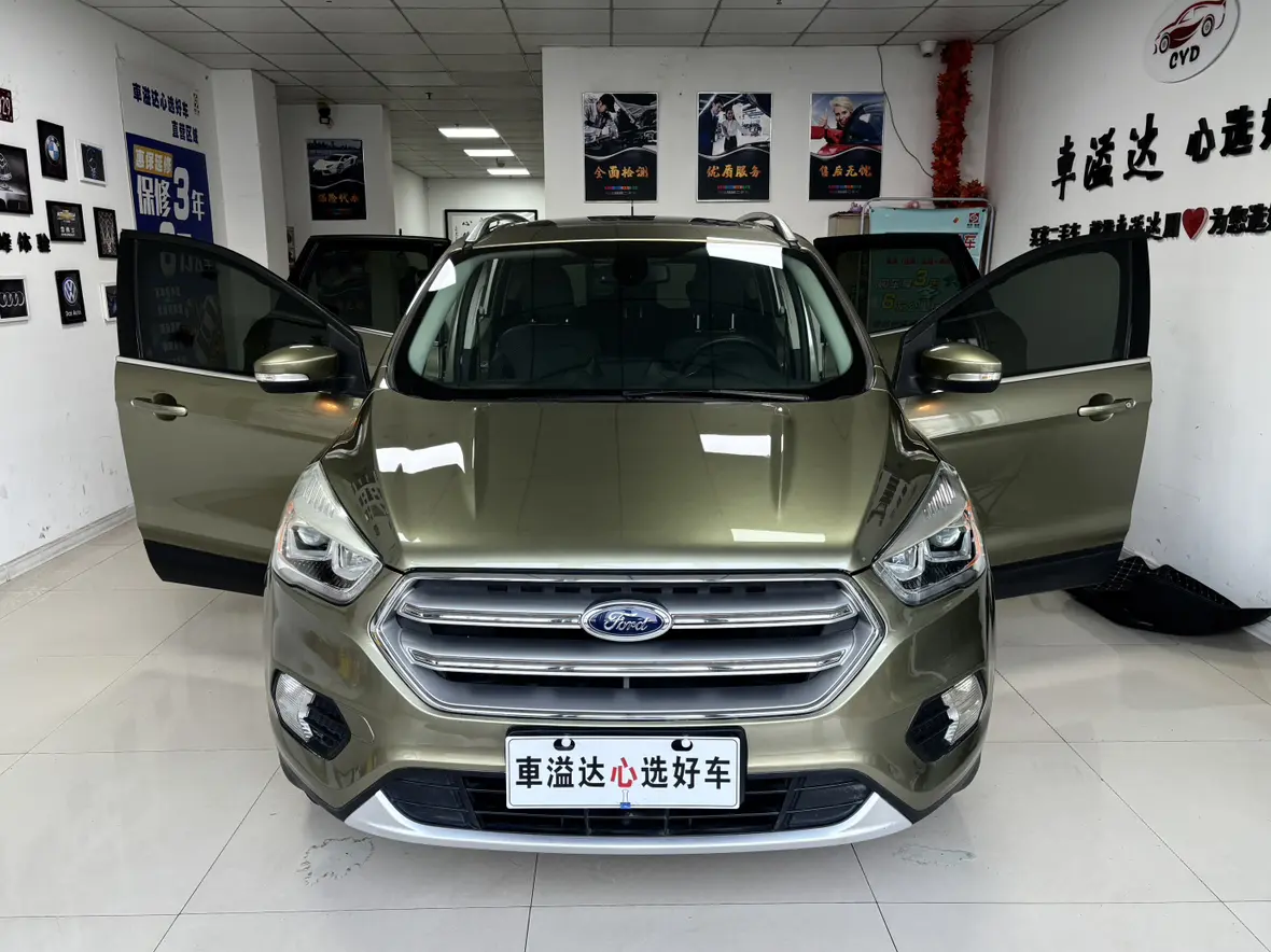 Ford Wing tiger  из Китая