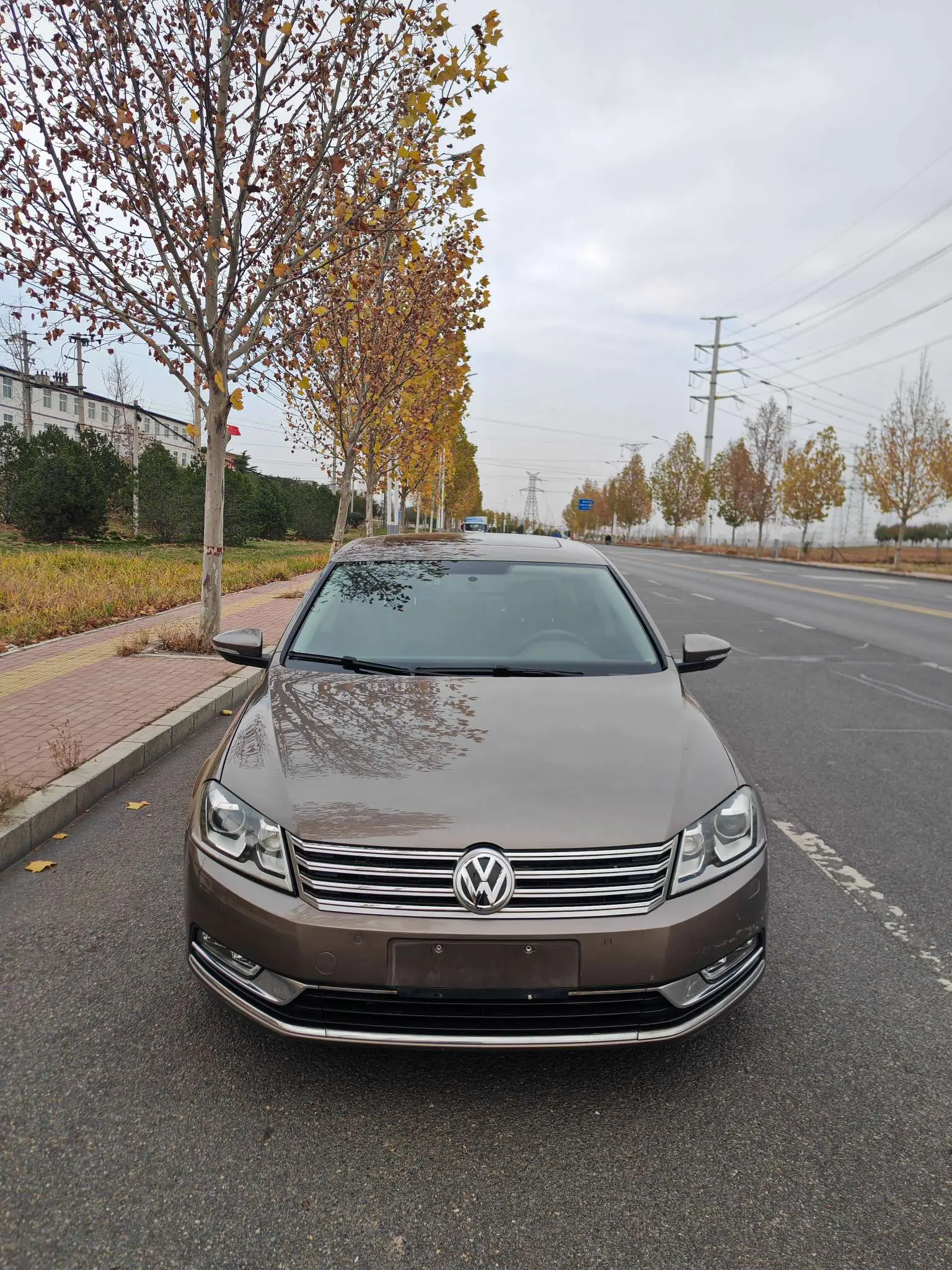 Volkswagen Magotan  из Китая