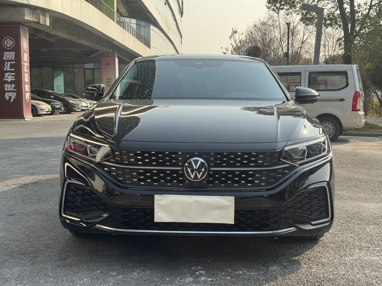 Volkswagen Passat  из Китая