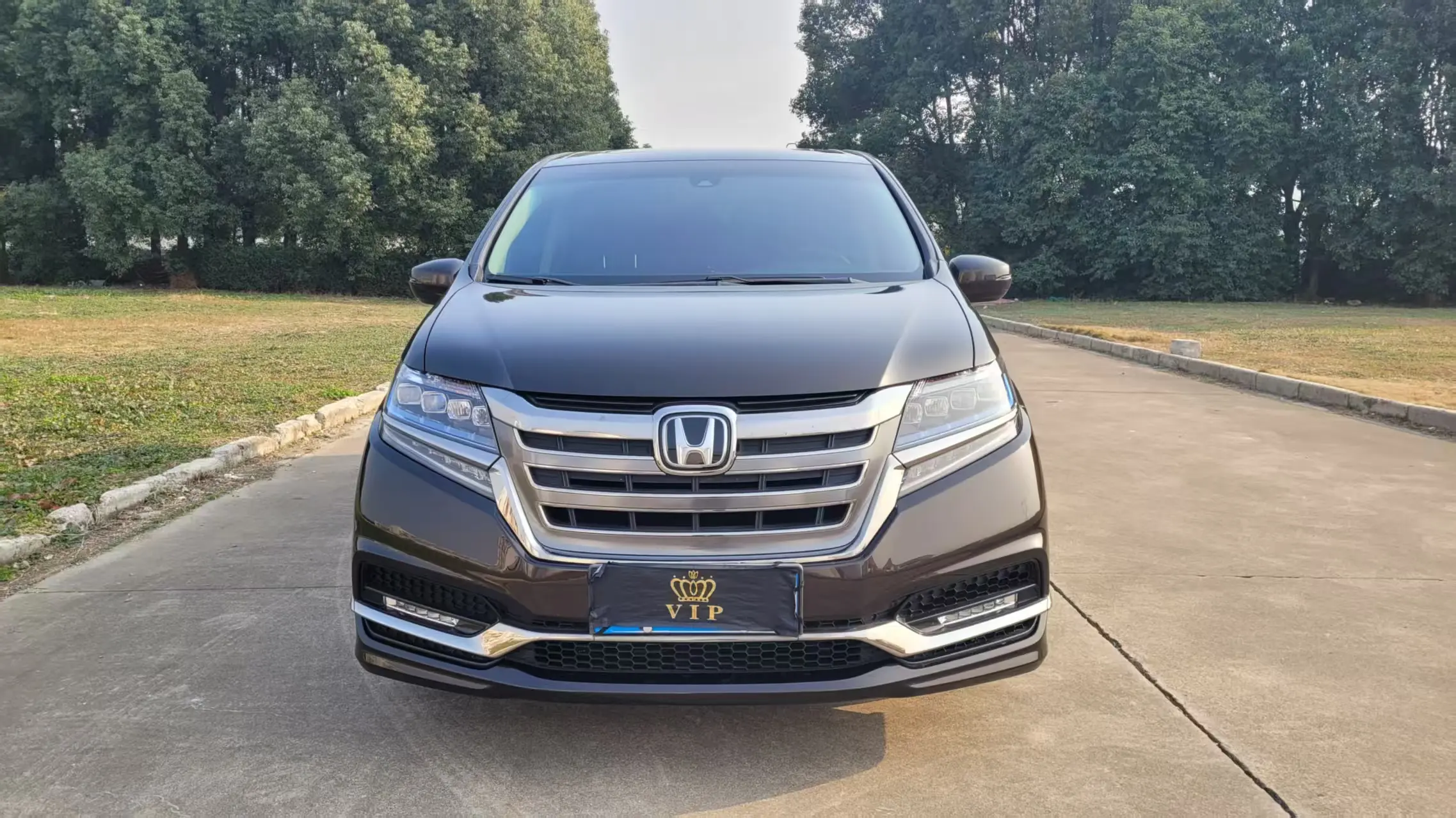 Honda Elysion (Alison)  из Китая