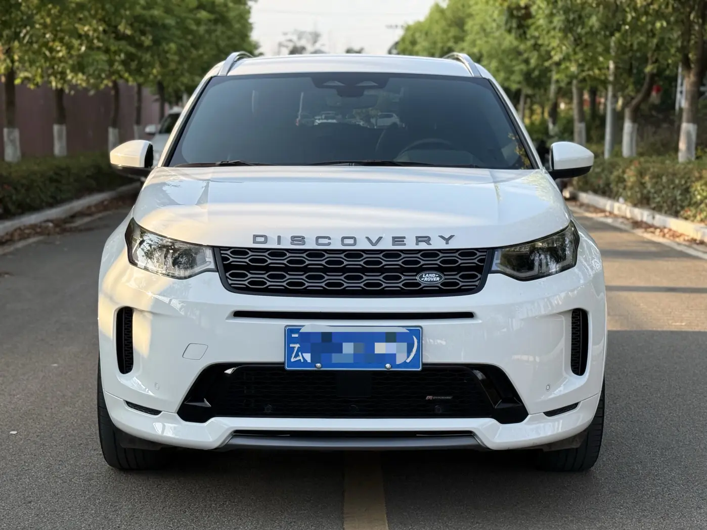 Land Rover Discover Sports  из Китая