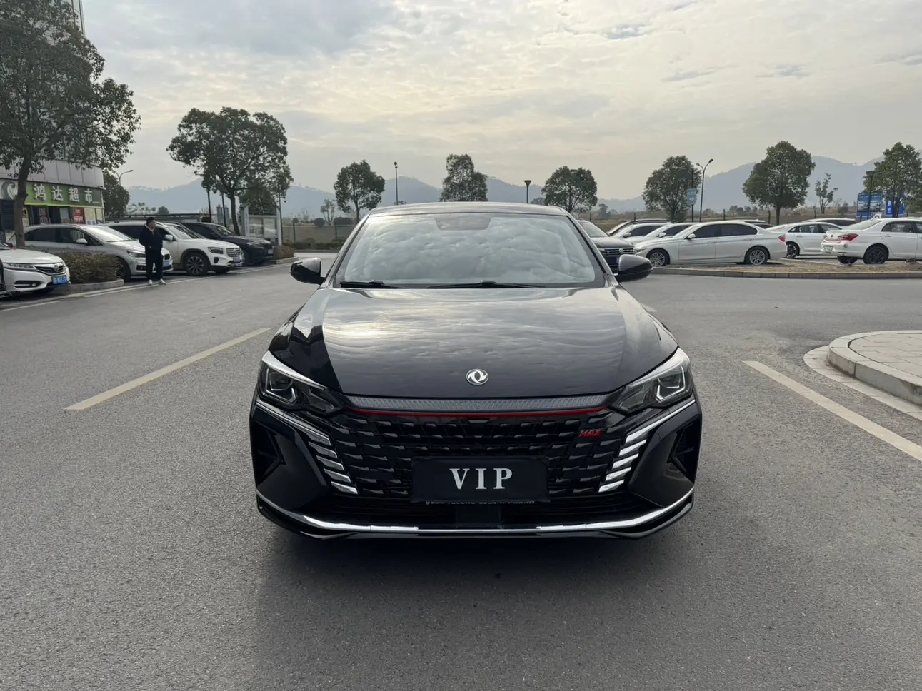 Dongfeng Yixuan MAX  из Китая