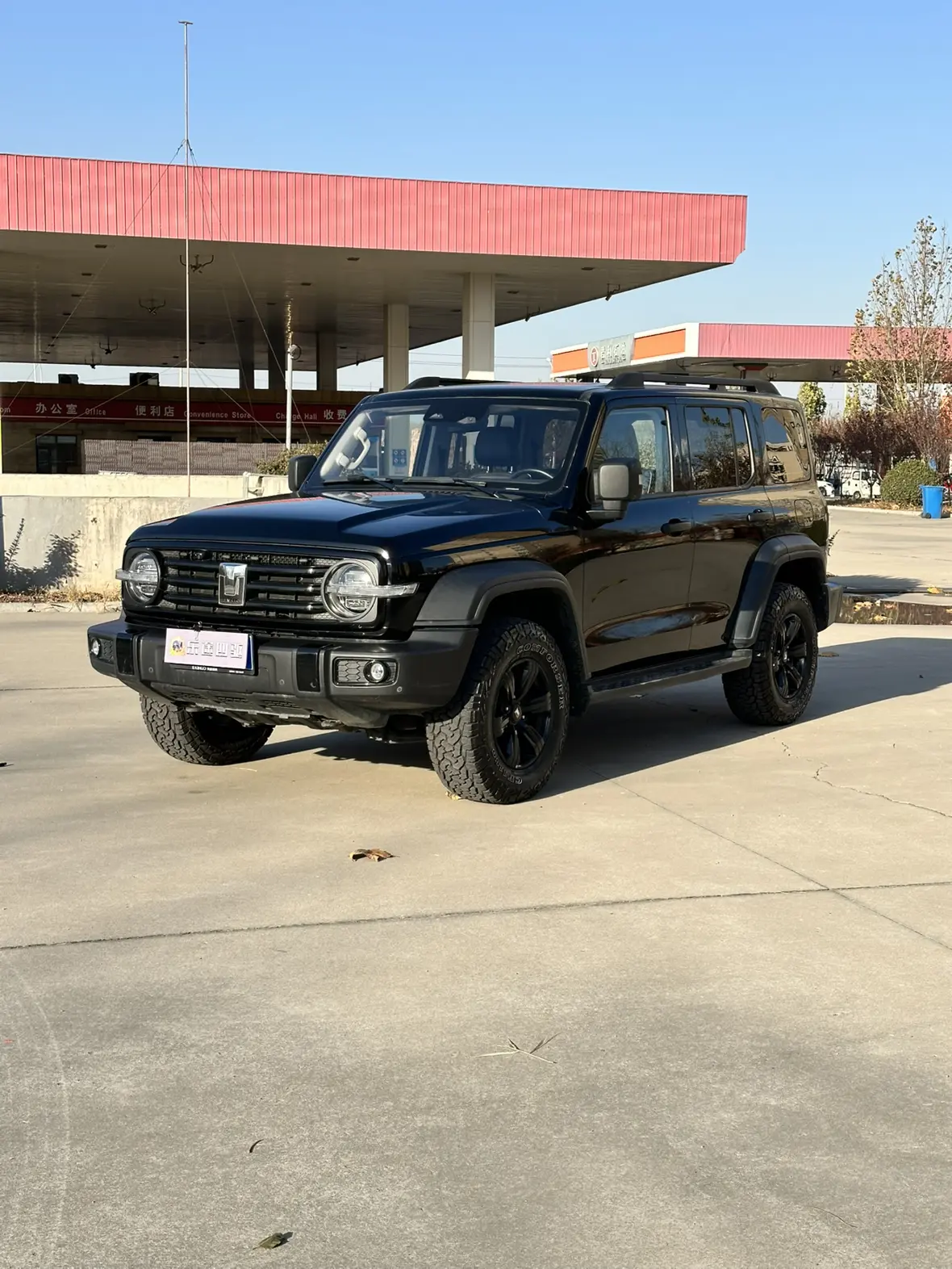 Tank 300  из Китая