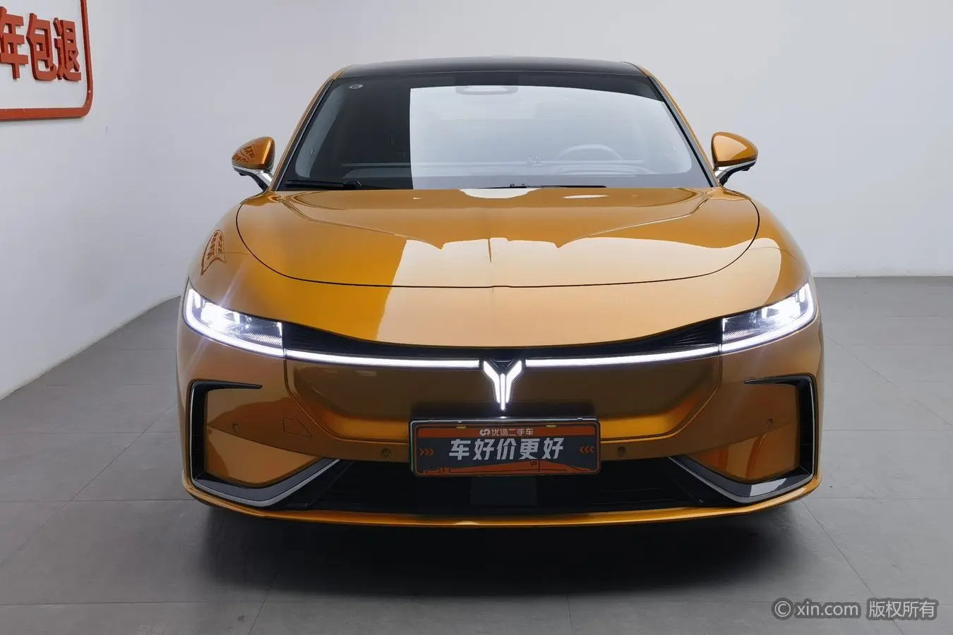 Voyah Passion EV  из Китая