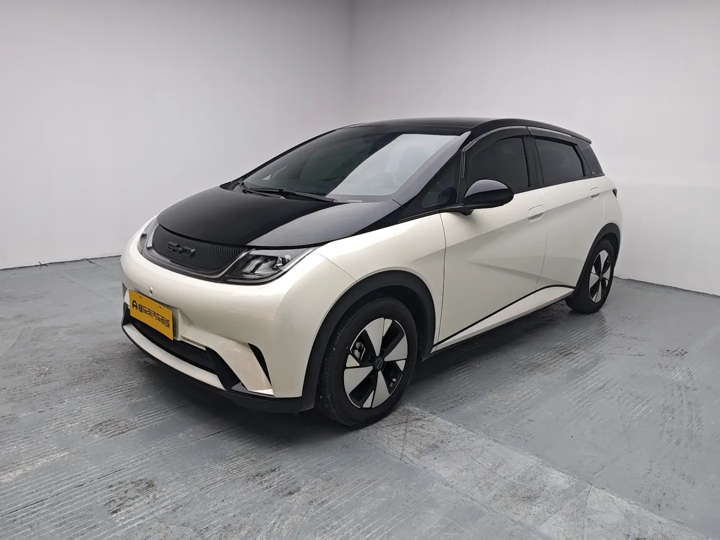 BYD Dolphin  из Китая