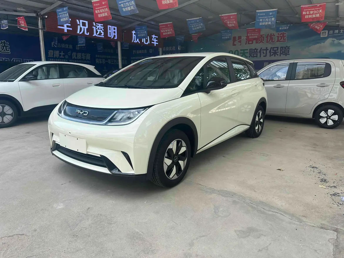 BYD Dolphin  из Китая