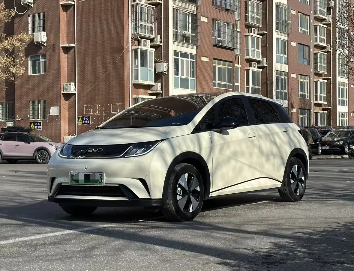 BYD Dolphin  из Китая