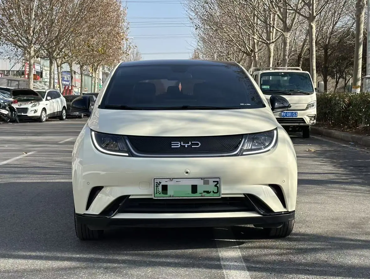 BYD Dolphin  из Китая