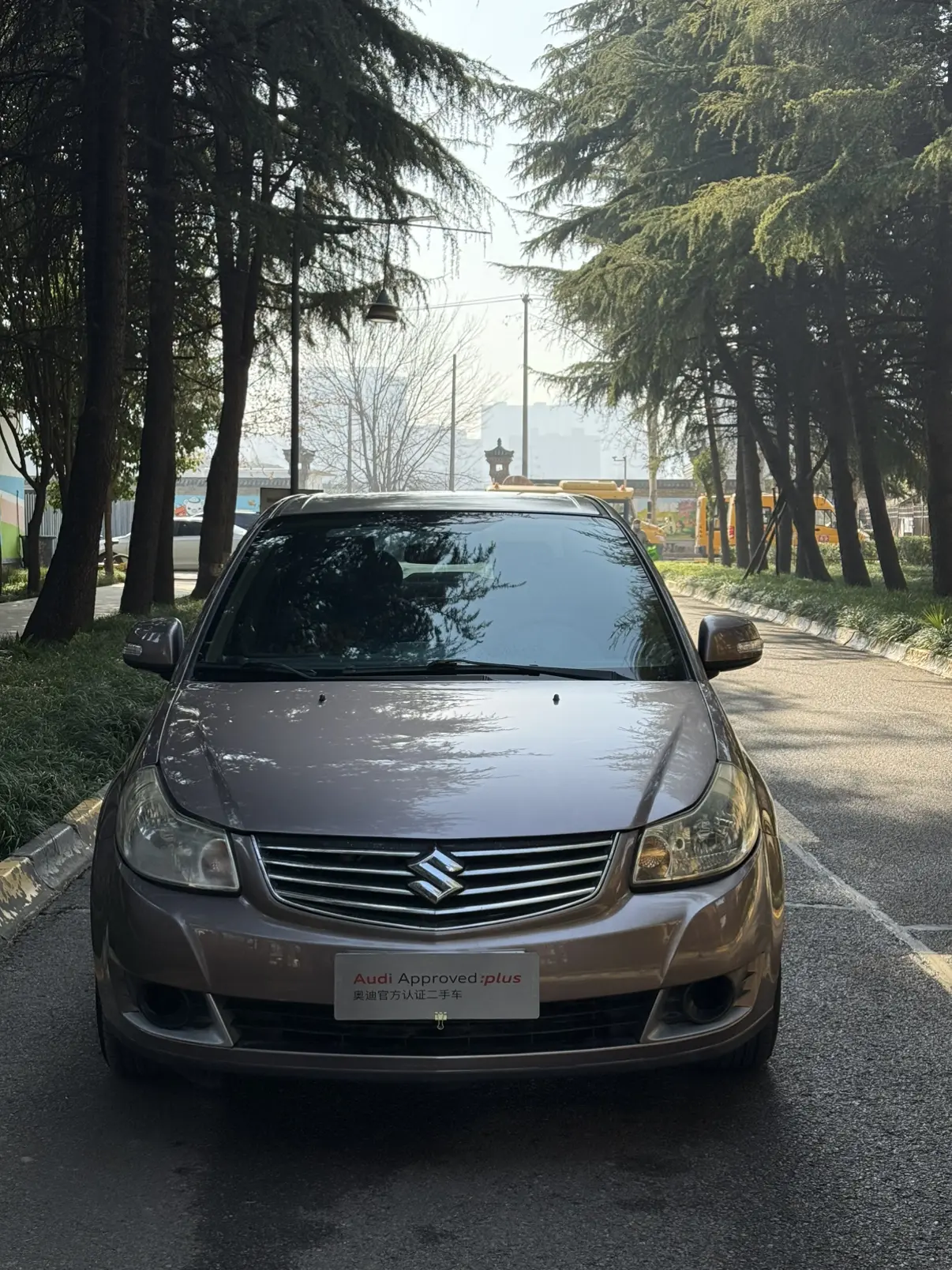 Suzuki Tianyu Shangyue  из Китая