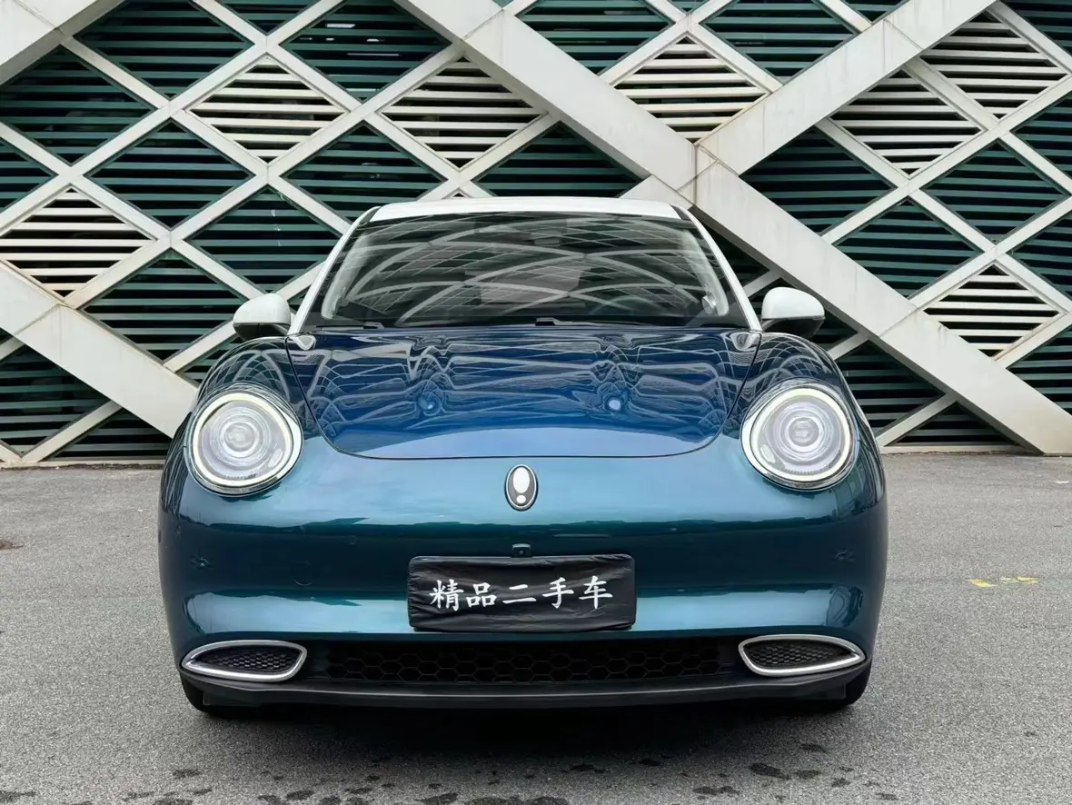 ORA Euler good cat  из Китая