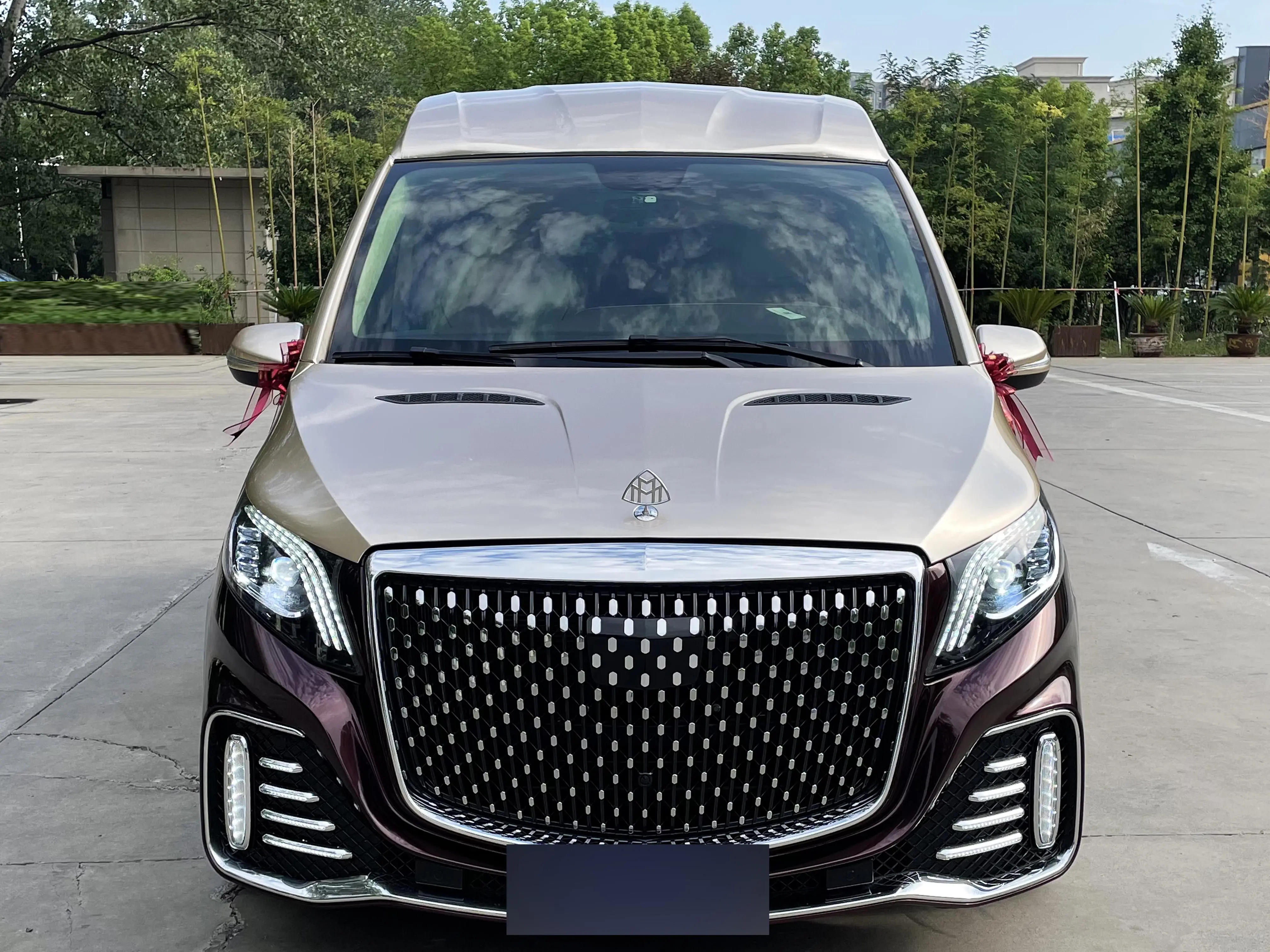 Mercedes-Benz Vito  из Китая