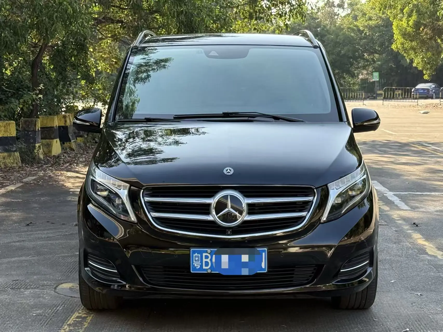 Mercedes-Benz Mercedes Benz V Class  из Китая
