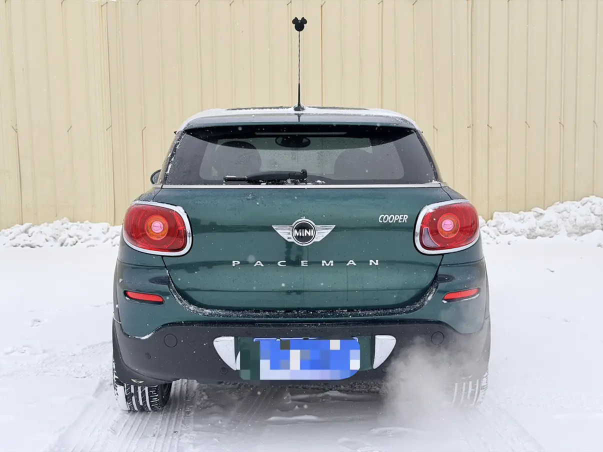 MINI PACEMAN