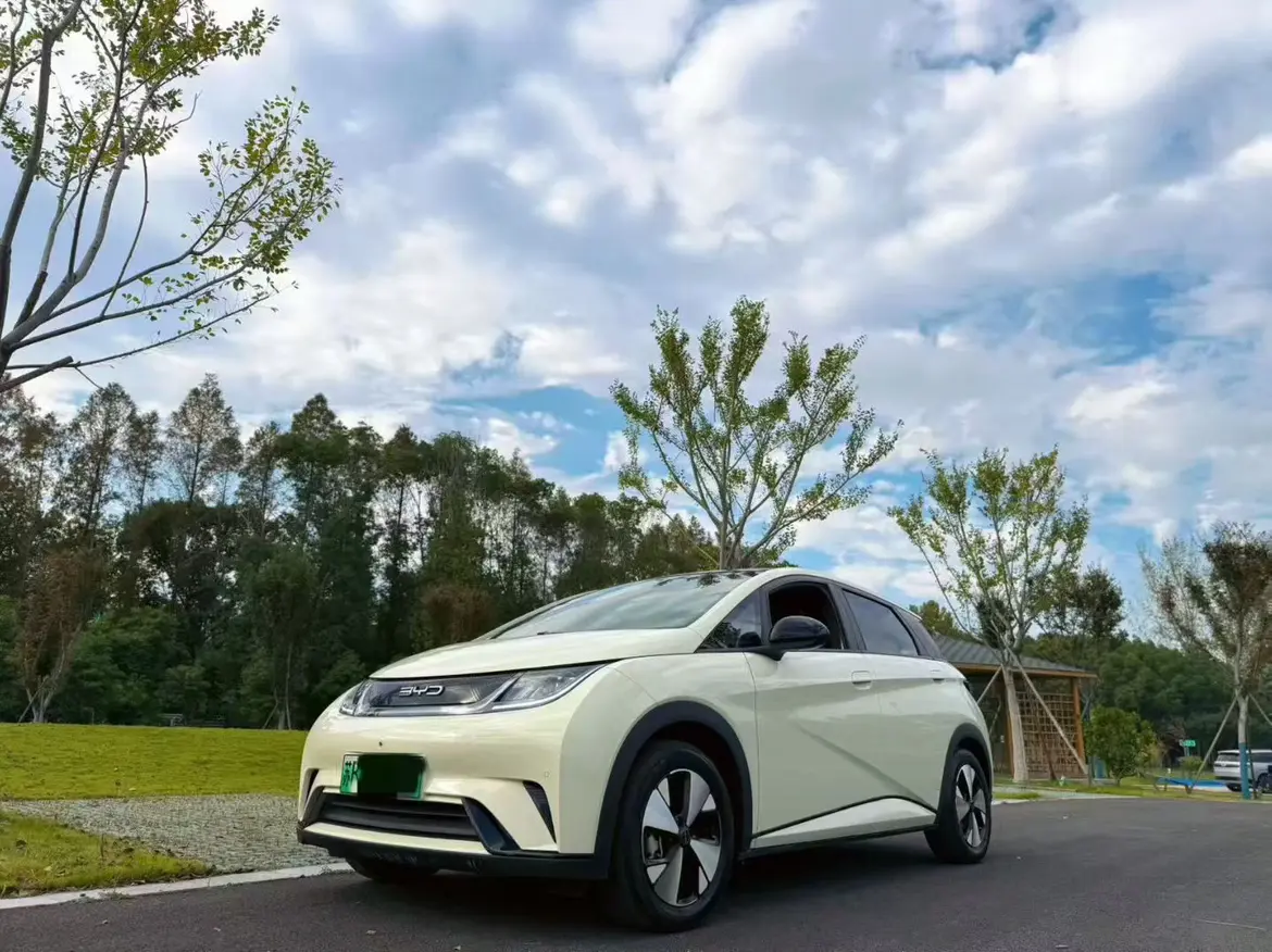 BYD Dolphin  из Китая