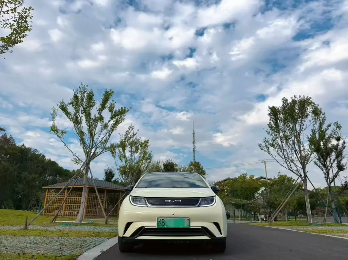 BYD Dolphin  из Китая