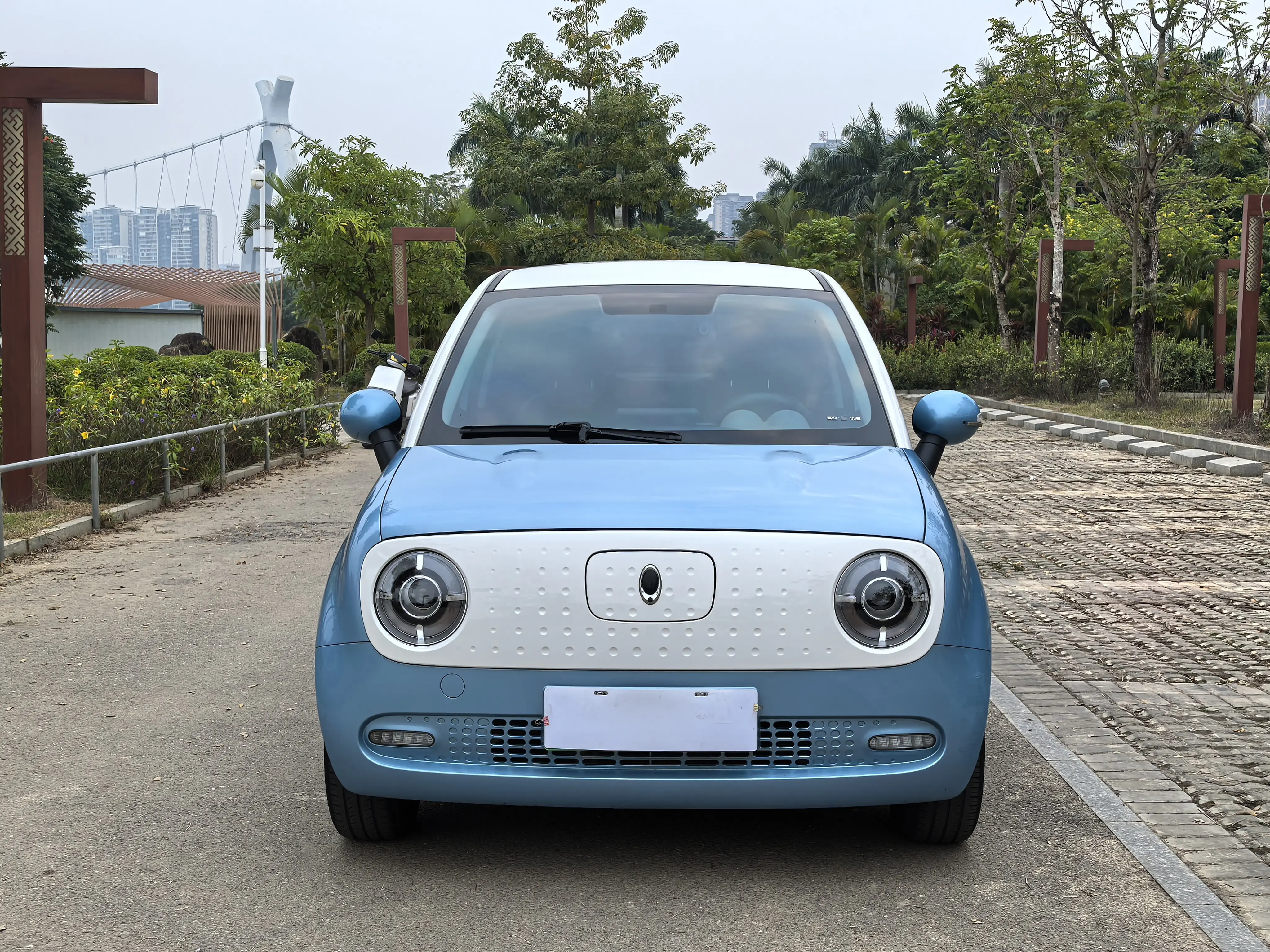 ORA Euler black cat  из Китая