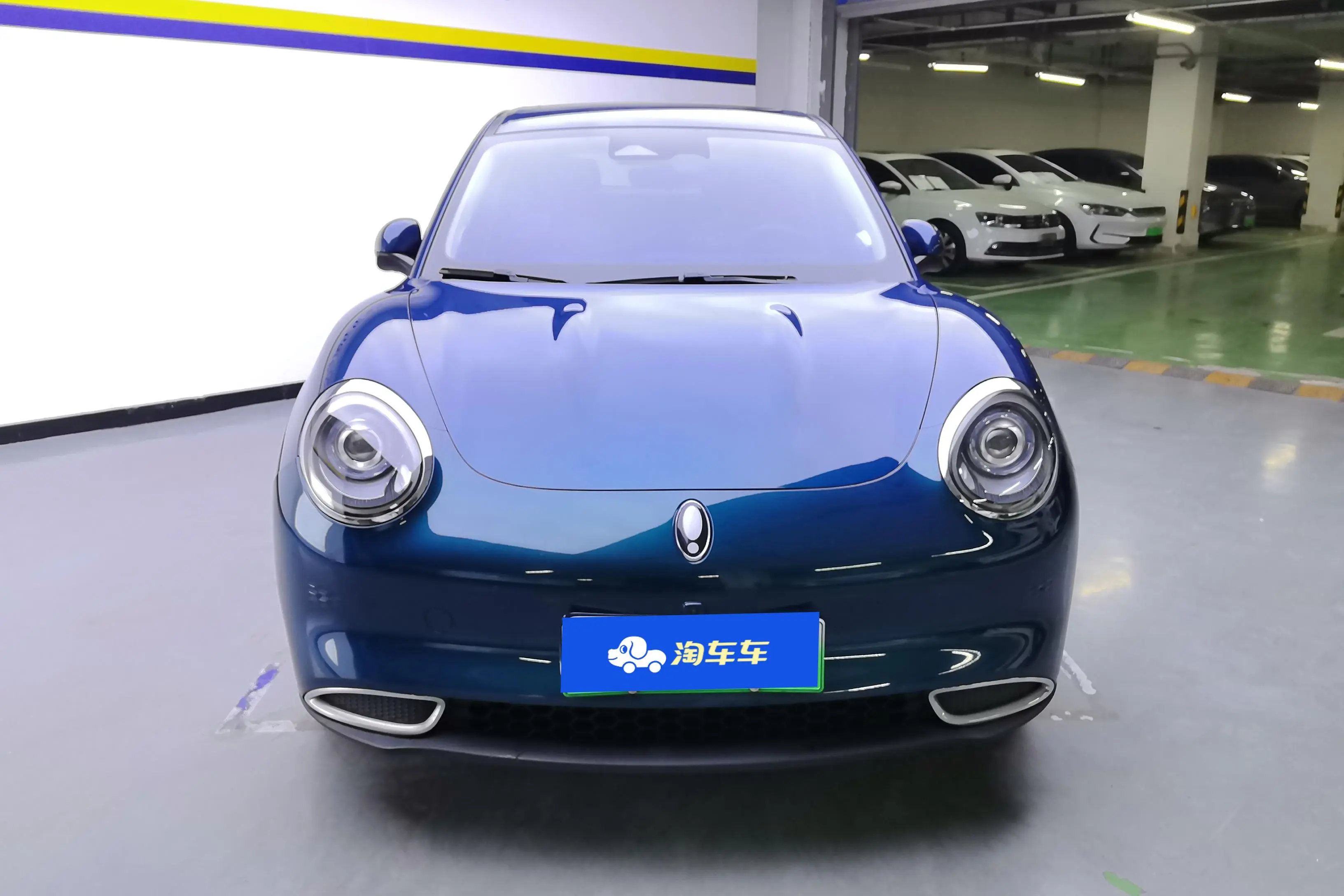 ORA Euler good cat  из Китая