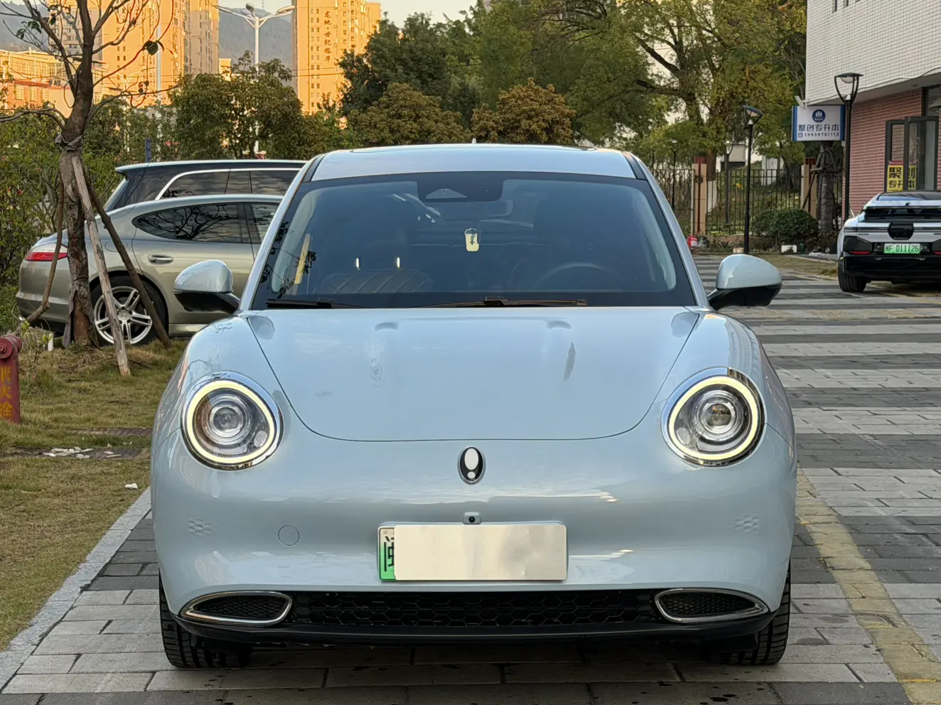 ORA Euler good cat  из Китая