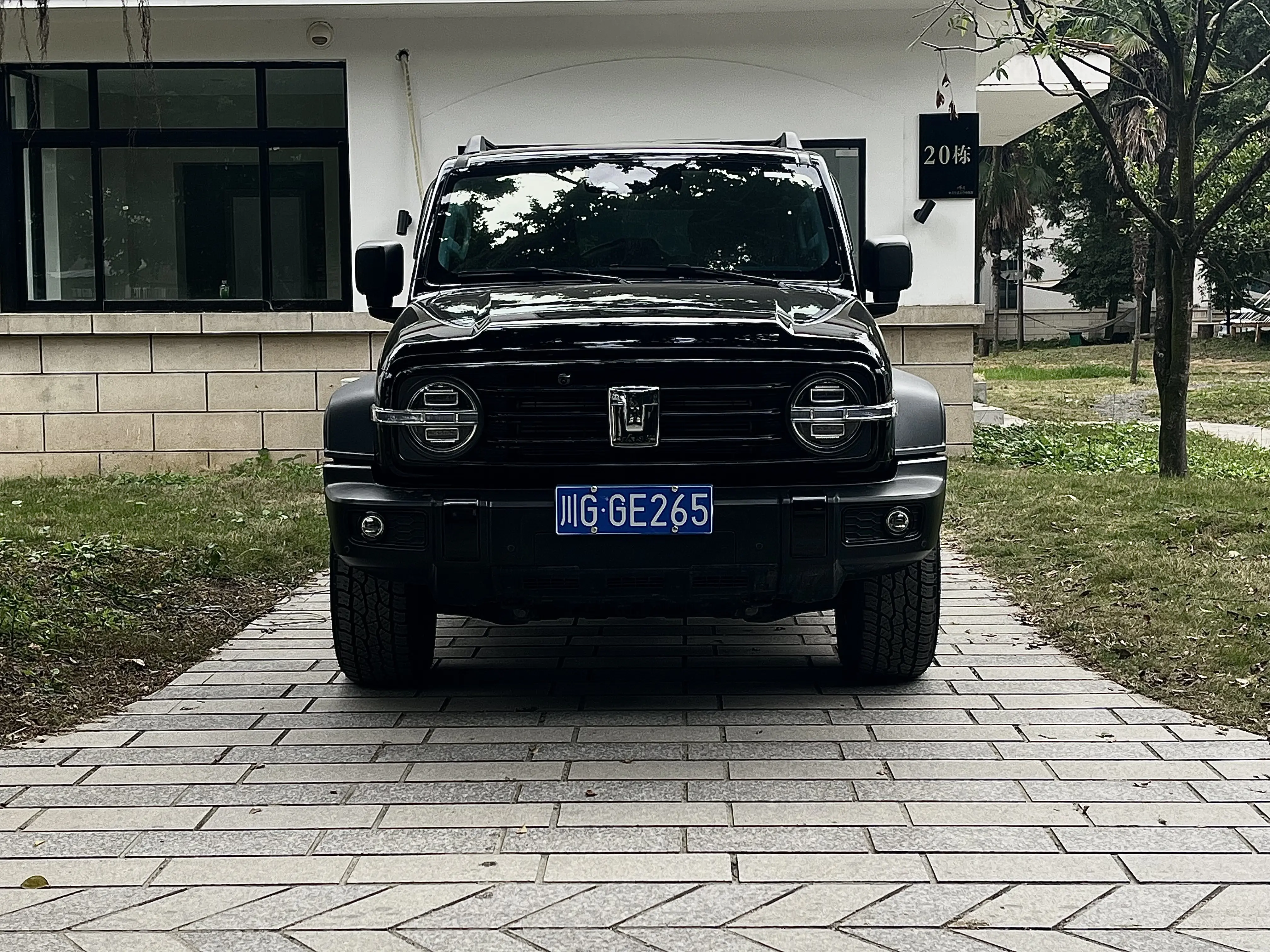 Tank 300  из Китая