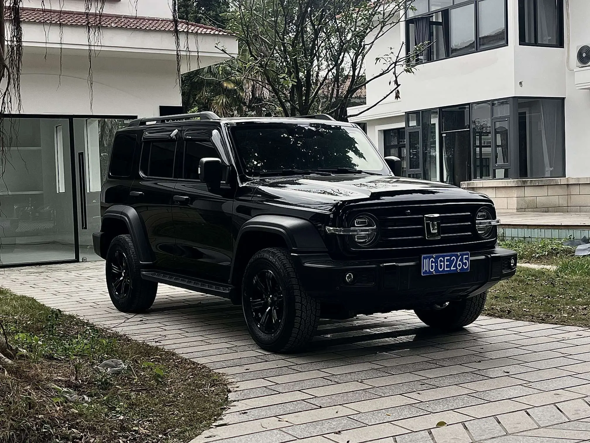 Tank 300  из Китая