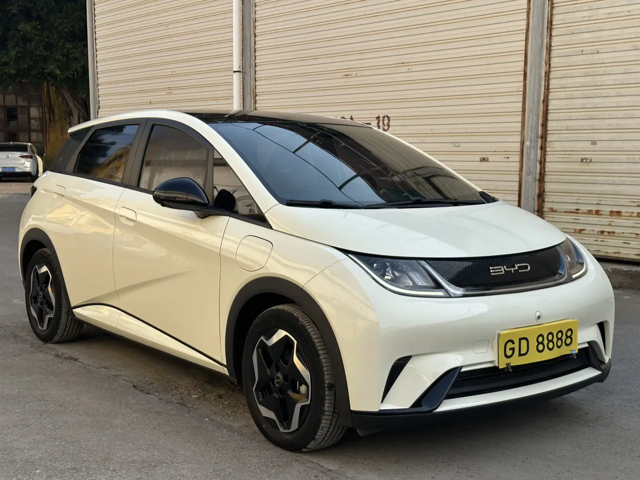 BYD Dolphin  из Китая